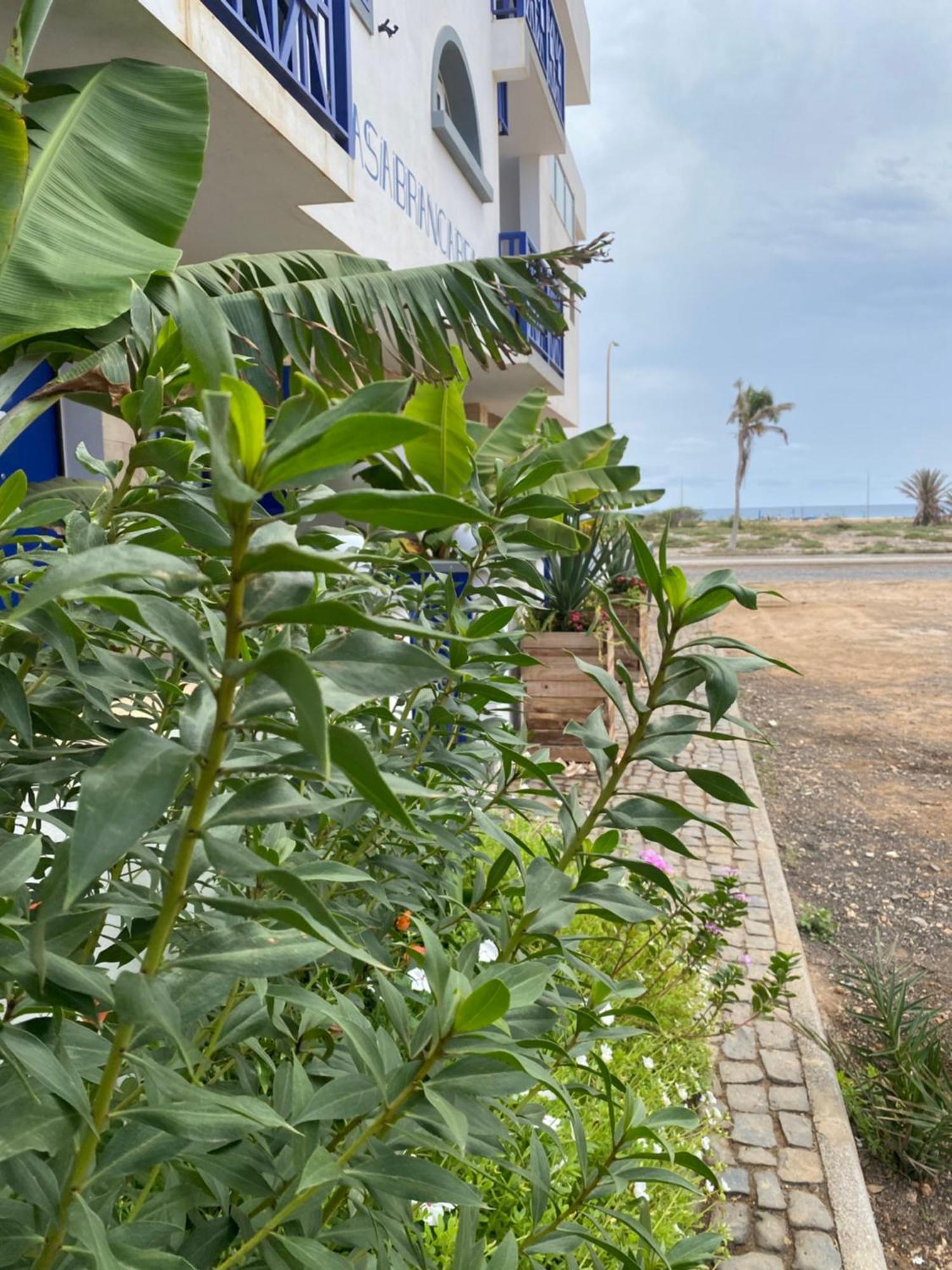 Casa Branca Beach Santa Maria Bagian luar foto